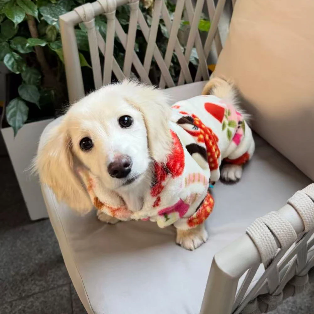 Jersey con capucha para perro Dachshund – Abrigo cálido y suave - imagen 2