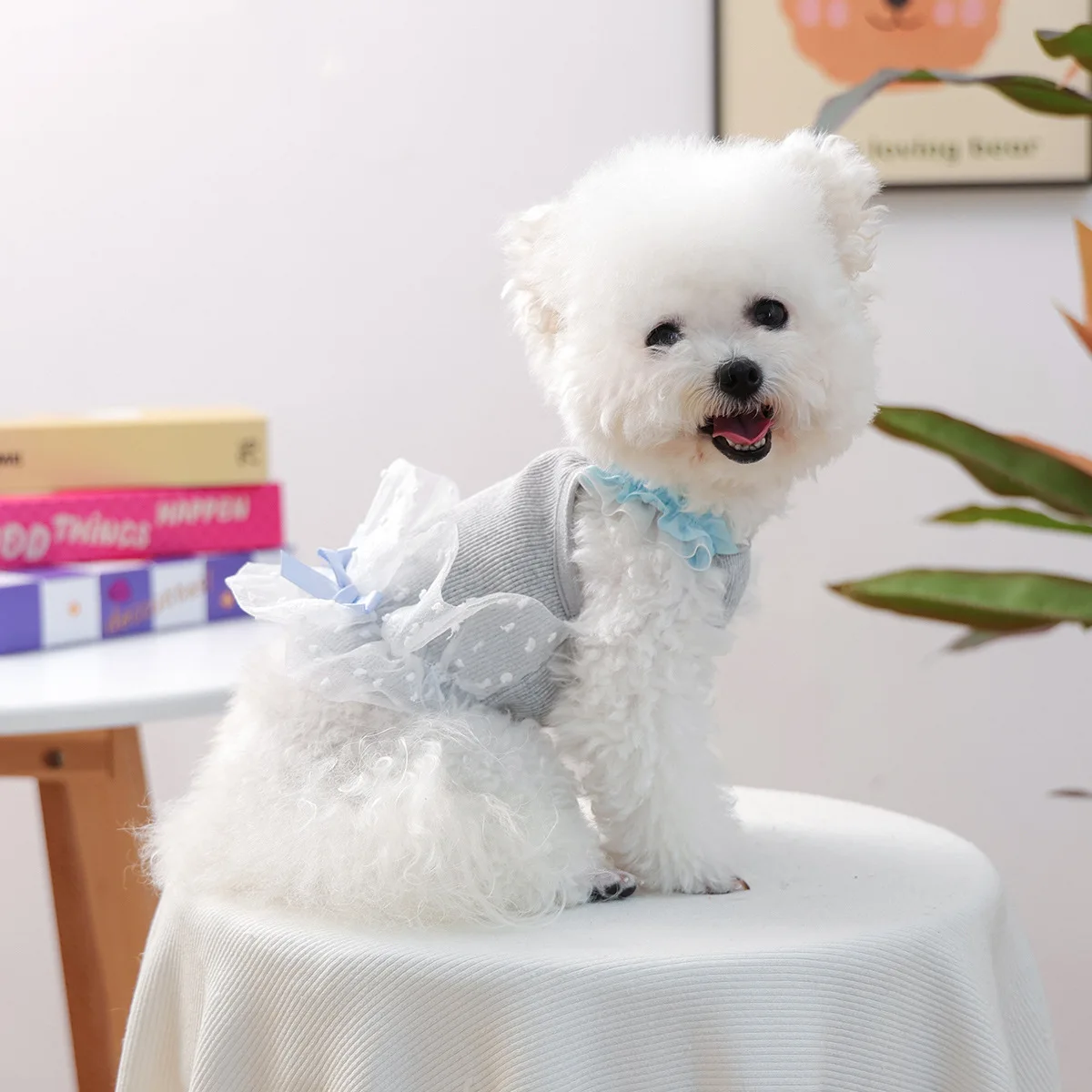 Chaleco con correa de encaje para mascotas, ropa cómoda para perros y gatos pequeños, chaleco con correa de malla de burbujas, ropa para cachorros, primavera y otoño - imagen 2