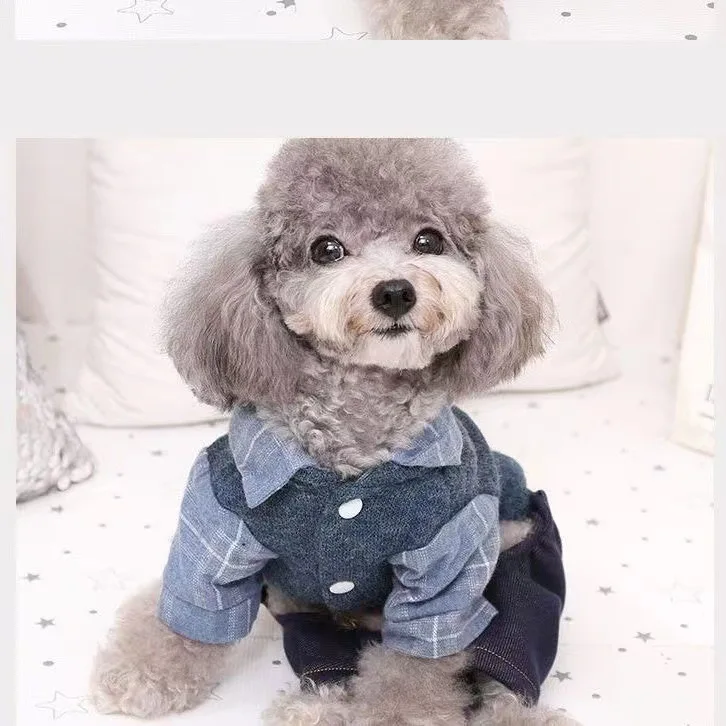 Ropa para perros y cachorros, ropa de otoño e invierno para perros pequeños de Pomerania, ropa de cuatro patas para cachorros, informal, gruesa y cálida - imagen 5