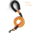 Orange Leash