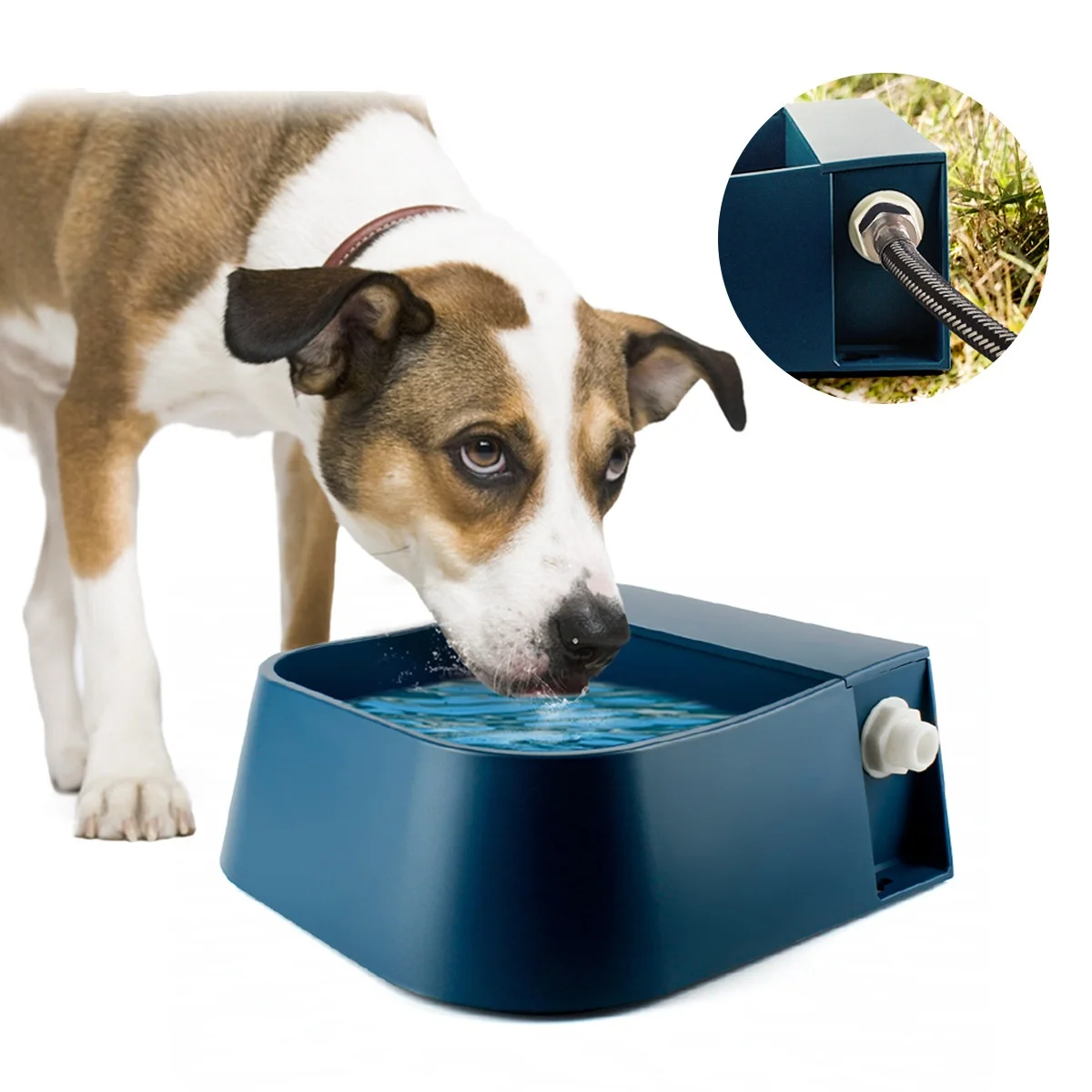 Cuenco de agua de llenado automático, dispensador automático de agua para perros de 2L, válvula de flotador de agua para ganado interior y exterior, alimentador de agua para gato y pollo