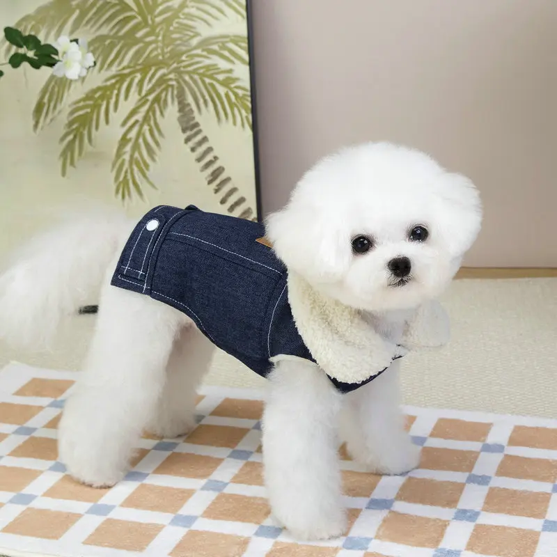 Abrigo de algodón grueso de invierno para mascotas, chaqueta de cachorro estilo vaquero de lana de cordero gruesa para perros pequeños, Chihuahua, ropa de peluche para exteriores