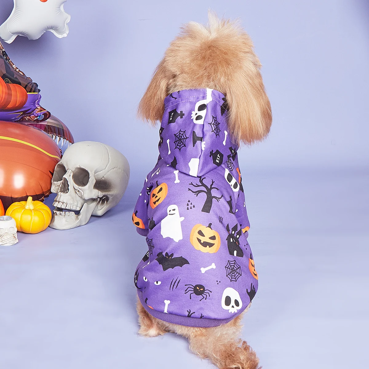 Sudadera con capucha de Halloween para mascotas con estampado de calabaza, murciélago y calavera, sudadera con capucha morada, disfraces para perros pequeños, sudaderas con capucha para mascotas, ropa cálida para mascotas