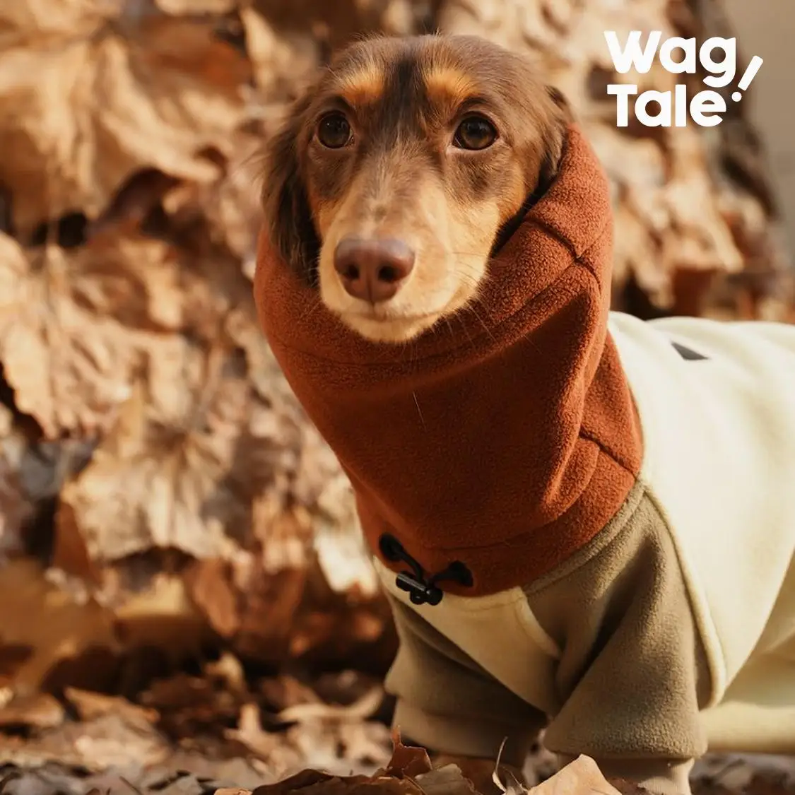 Ropa gruesa de moda para perros salchicha de 4 patas, abrigo cálido con cuello alto a prueba de viento para perros salchicha en invierno