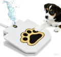 Pet water collector