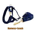Harness   leash