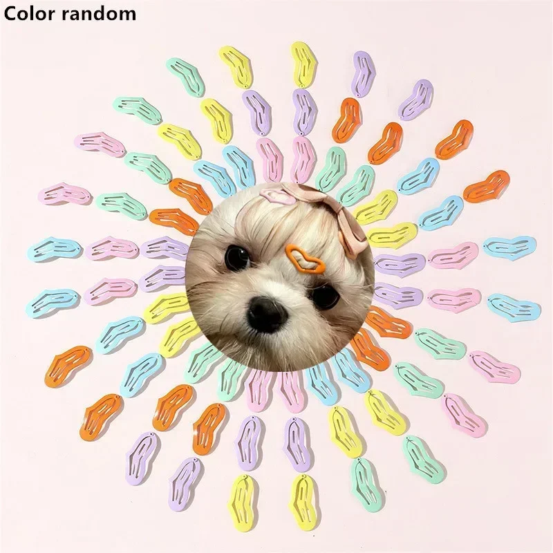 5/10/20 piezas pinzas para el cabello de estrella coloridas para perro gato brillo Metal Snap BB Clip horquilla accesorios para el cabello para perros y mascotas - imagen 3