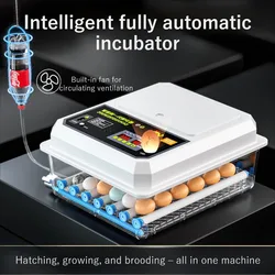 Incubadora automática para huevos de gallina, pato y ganso