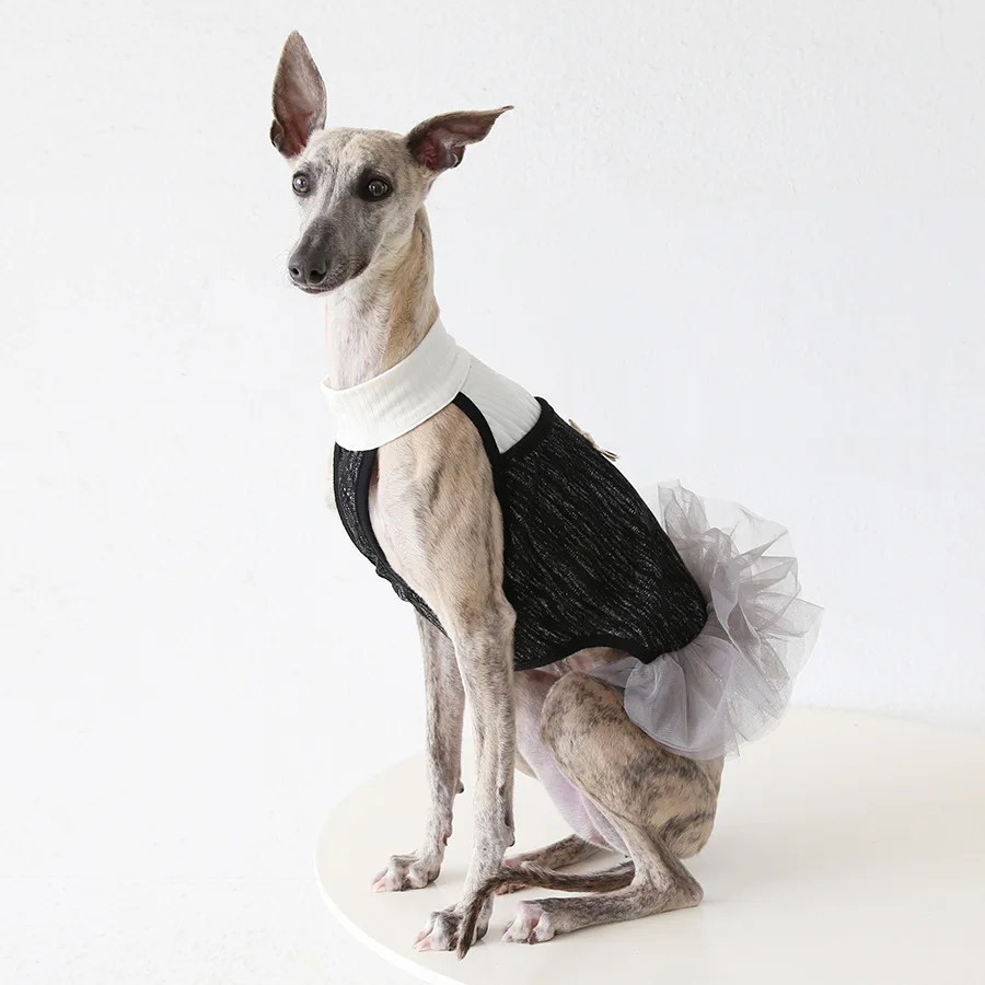 Falda tulle para galgo italiano, whippet y perros medianos y grandes - imagen 2