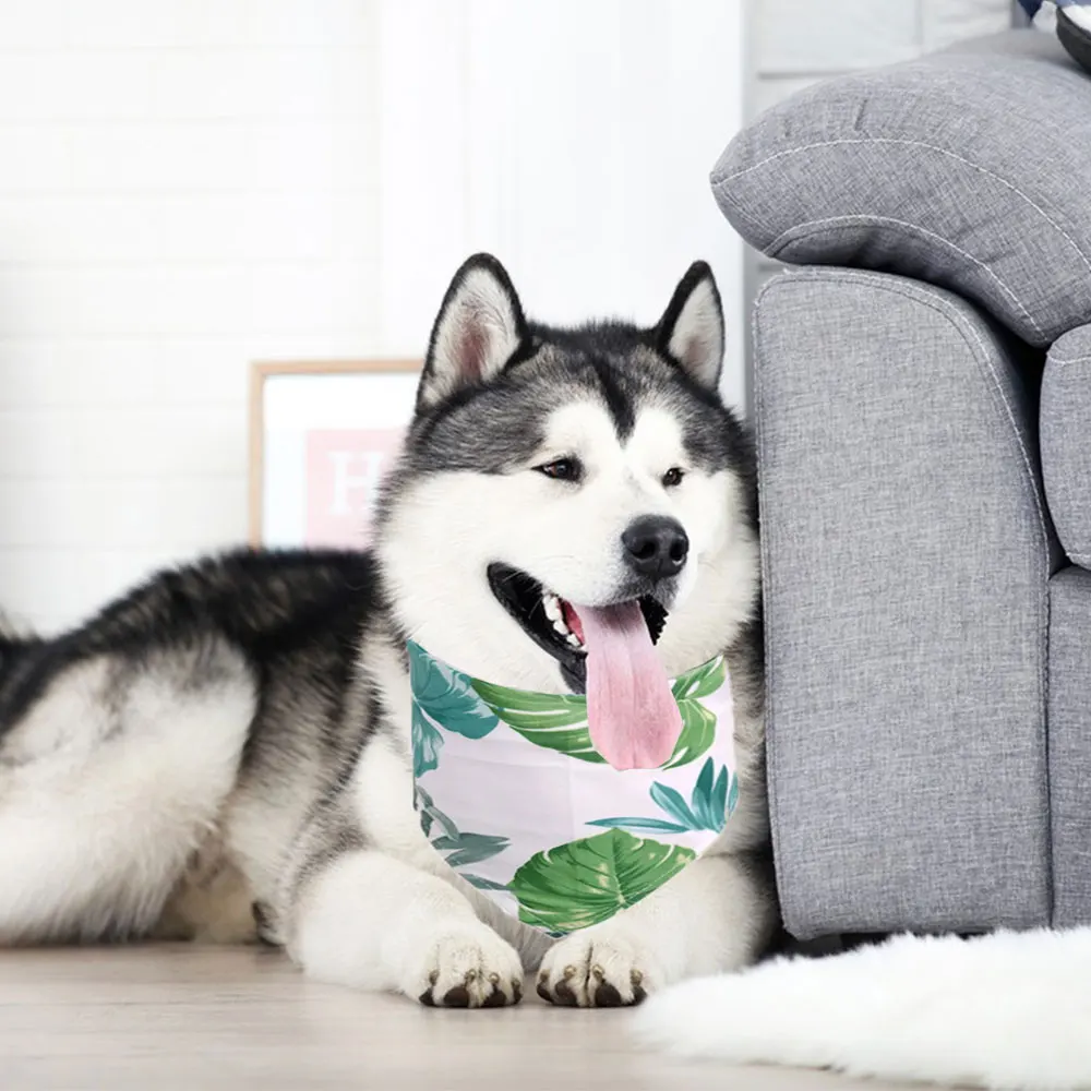 Bandana de sandía personalizada para perro, bufanda de verano con fruta, accesorios de aseo para perros pequeños y grandes, 50 piezas - imagen 5
