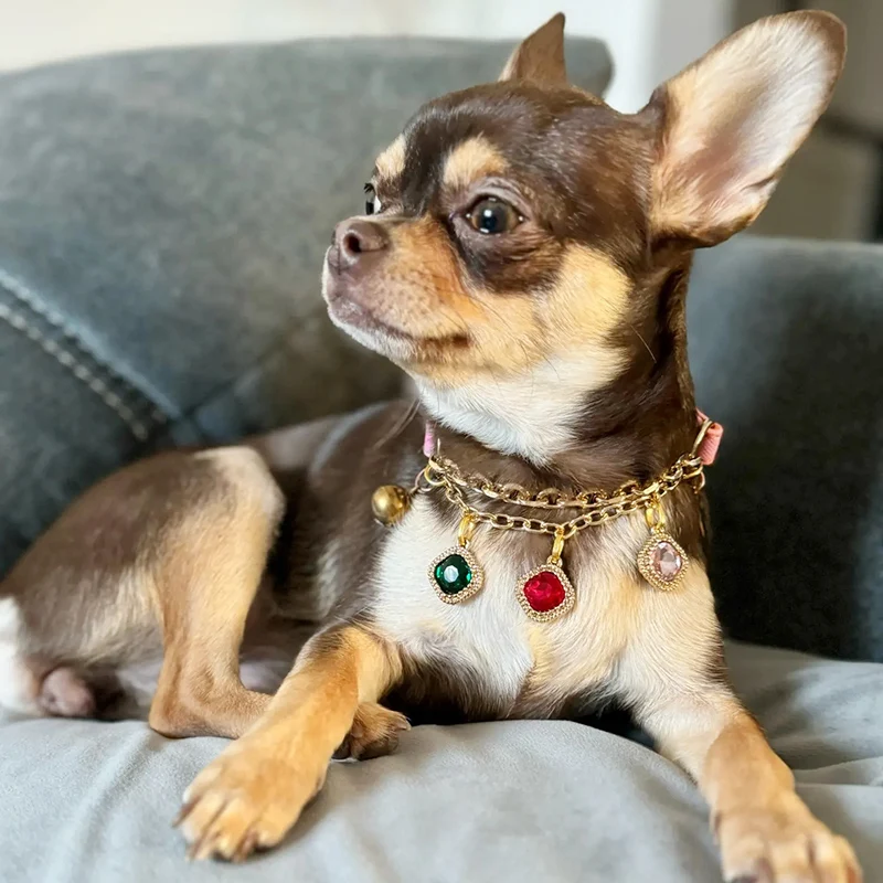 Collar para mascotas para perros pequeños, gatos, colgante de diamante ajustable, Collar para perro con borla, Collar para cachorro, regalo de boda y Día de San Valentín
