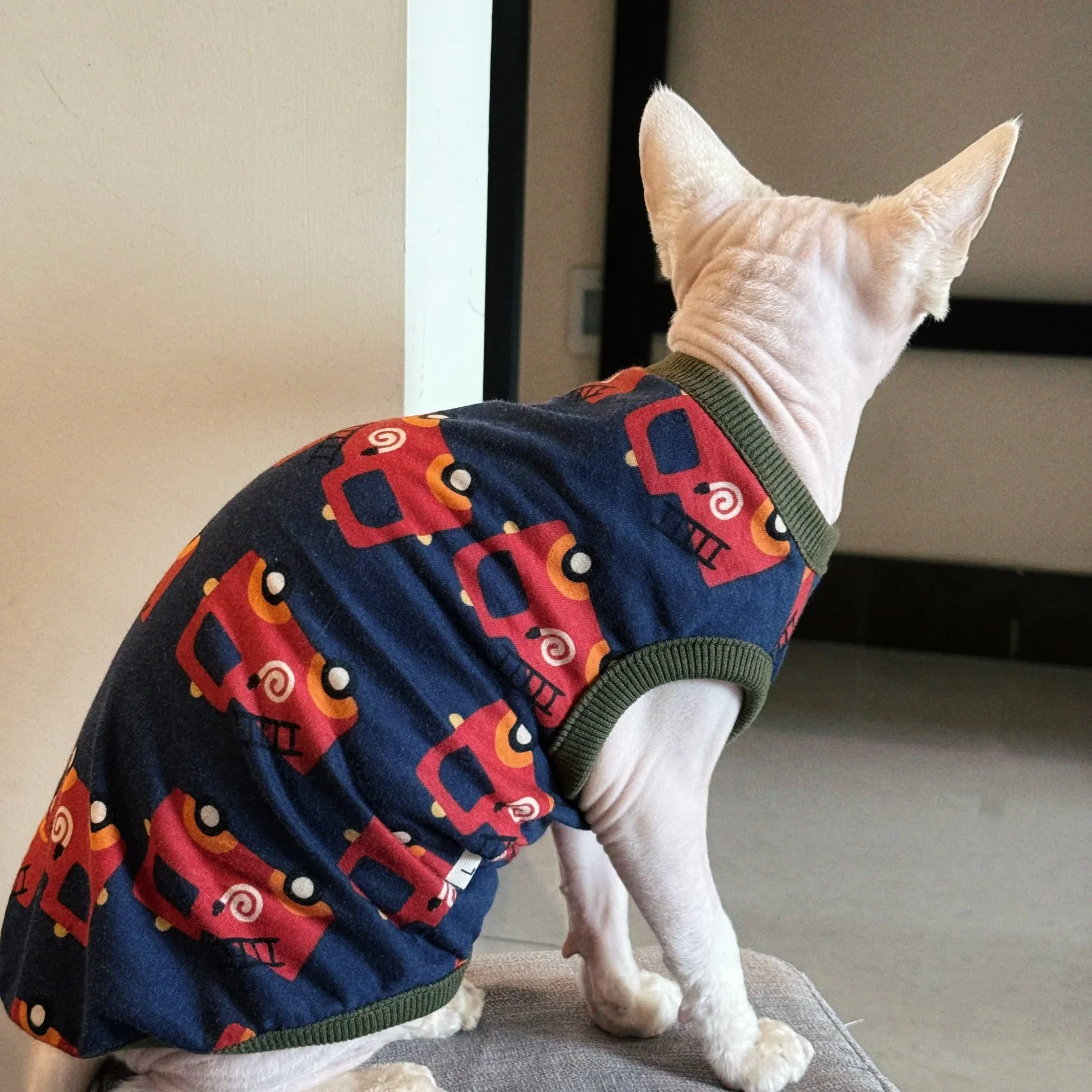 Camiseta estampada de coche para gatos Sphynx Devon Rex sin pelo