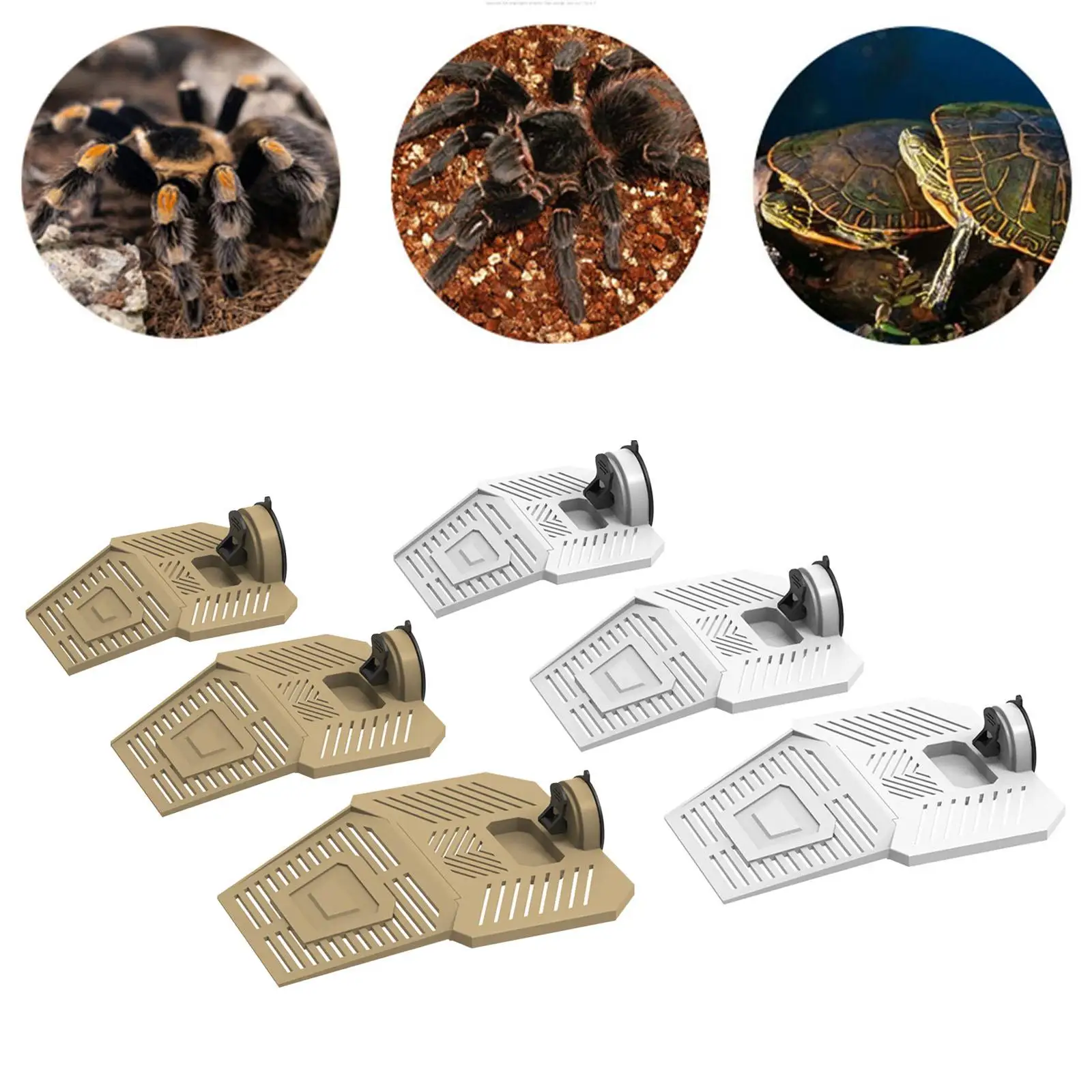 Turtle Basking Platform Wharf Tortoise Resting Terrace Reptile Basking Dock Removable for Pet Bearded Dragon Easy to Install Turtle Basking Platform Wharf Tortoise Resting Terrace Reptile Basking Dock Removable for Pet Bearded Dragon Easy to Install