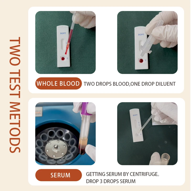 Tarjeta de prueba de embarazo temprano para perros y gatos, papel de prueba de embarazo para perros, suministros de prueba para mascotas, palo de prueba de embarazo - imagen 4