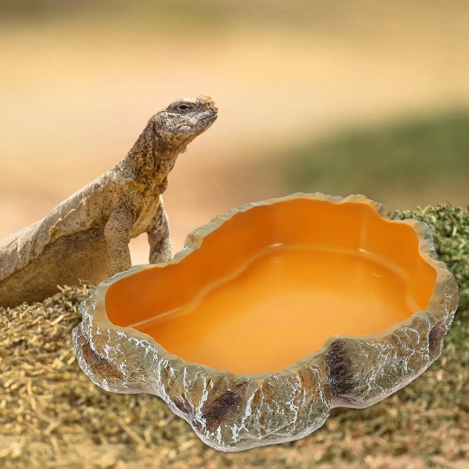 Comedero y bebedero para reptiles de resina – Tortugas y geckos - imagen 4