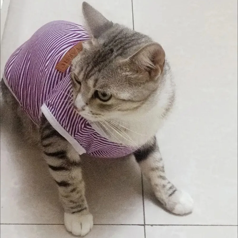 Jersey de algodón a rayas para mascotas, chaleco para cachorros, perros pequeños y gatos, ropa para gatitos Sphynx, Verano - imagen 5
