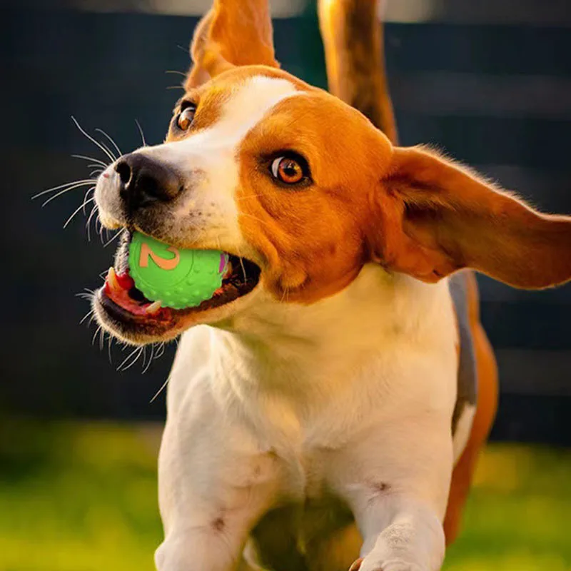 Juguete chirriante para perros - Pelota interactiva y masticable