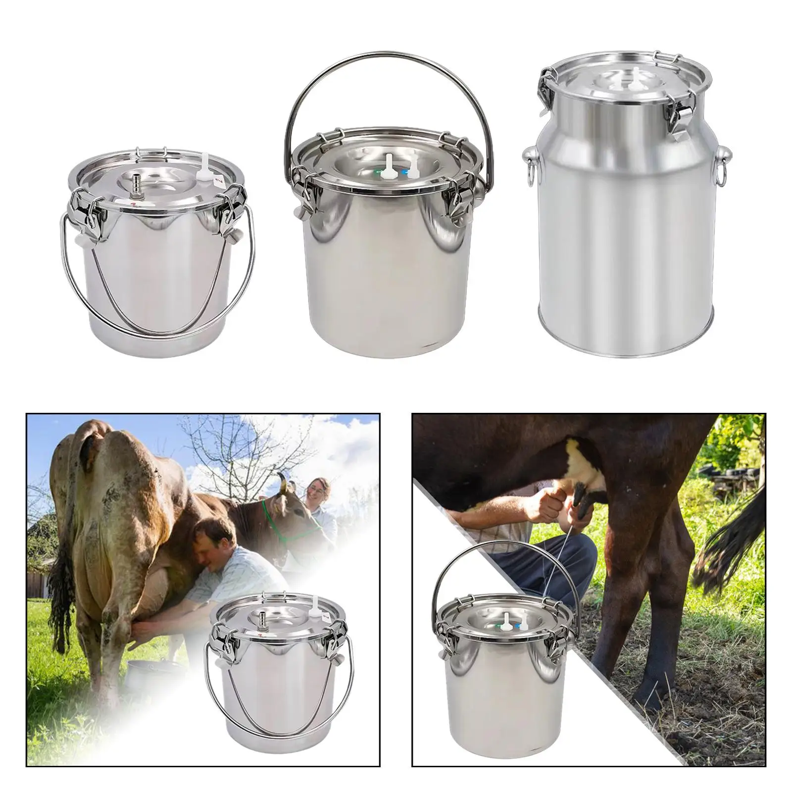 Milking Machine Bucket Multipurpose Easy Carrying Sturdy Stainless Steel Milk Bucket for Livestock Farm Sheep Milking Device Milking Machine Bucket Multipurpose Easy Carrying Sturdy Stainless Steel Milk Bucket for Livestock Farm Sheep Milking Device