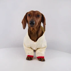 Impermeable cortavientos para perros salchicha pequeños y medianos