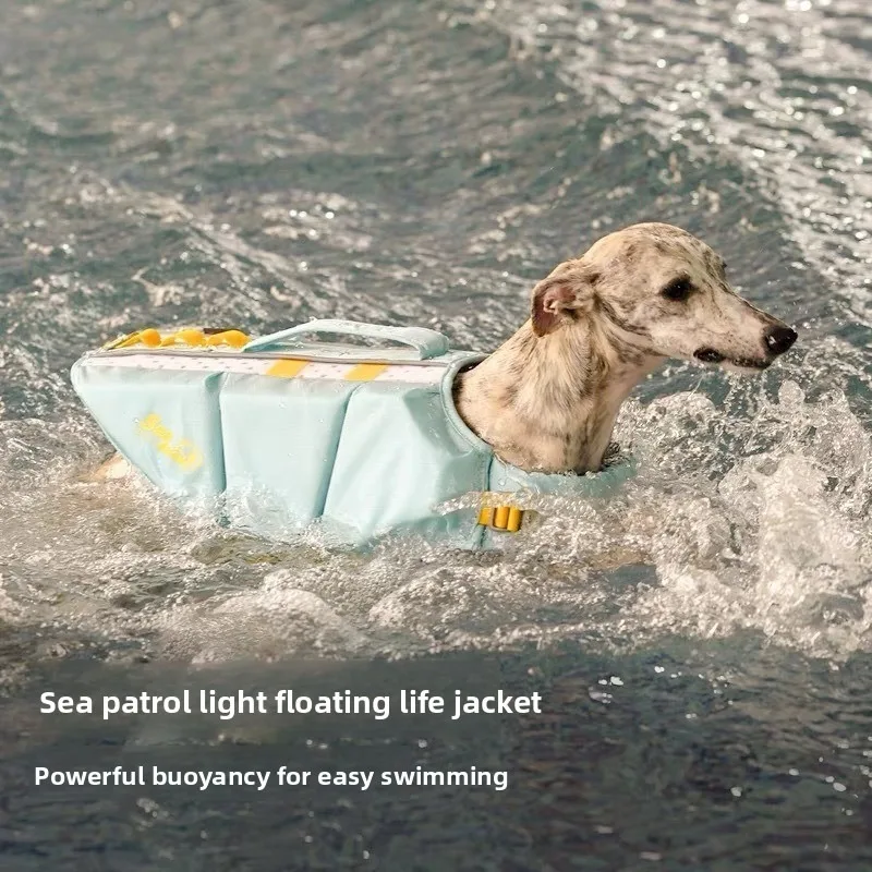 Chaleco salvavidas de verano para mascotas, ropa de alta flotabilidad, traje de baño para mascotas al aire libre, chaleco de seguridad para surf, accesorio antivaho para perros junto al mar - imagen 2