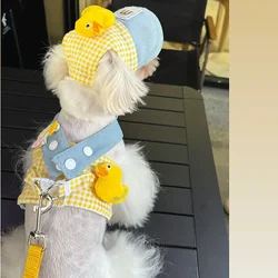 Set veraniego para gatos y perros con arnés, correa y juguetes