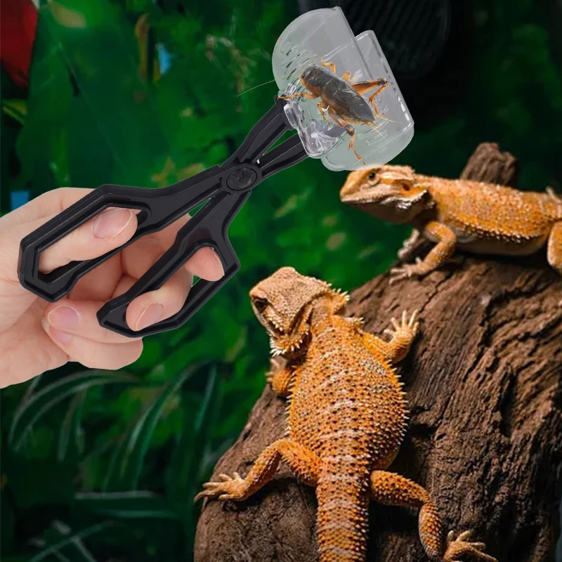 Herramienta de alimentación para criar mascotas, Clip para niños, trampa para insectos, tijeras prácticas para insectos, Clip para reptiles, terrario, lagartos, pinzas de plástico - imagen 3