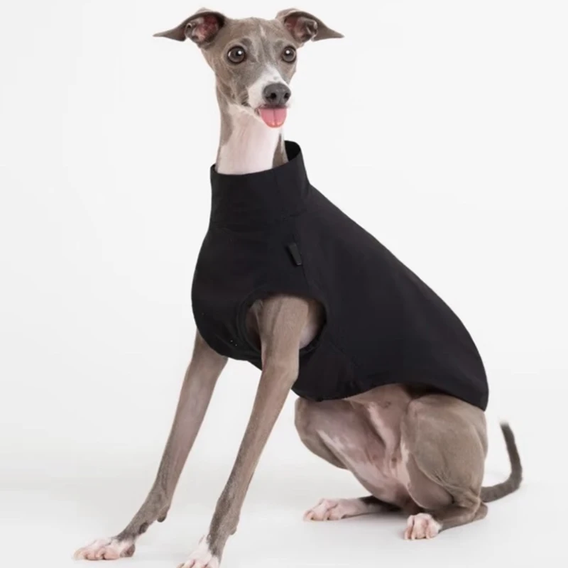 Camiseta negra fresca de verano para perros Whipbit, resistencia a insectos al aire libre, abrigo ligero y transpirable de secado rápido para galgo italiano