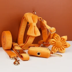 Collar y correa de terciopelo naranja con placa grabada para perro