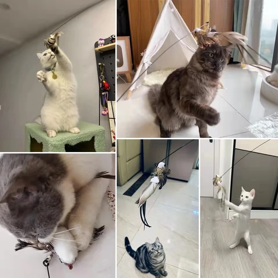 Conjunto completo del juguete de pájaro para gatos con varita y ventosa