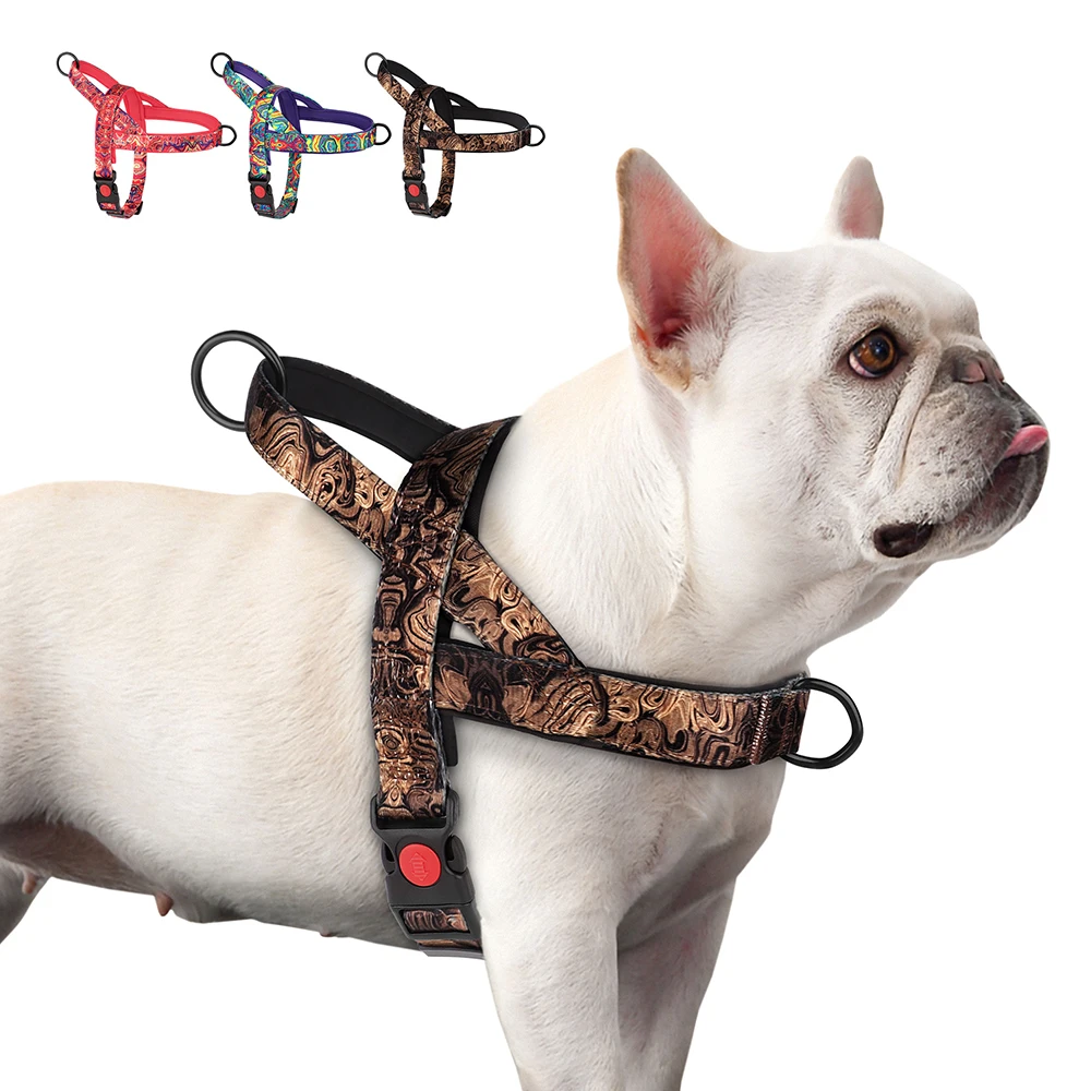 Arnés antin Tirones para perros – Ajustable, ideal para entrenamiento