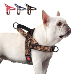 Arnés antin Tirones para perros – Ajustable, ideal para entrenamiento