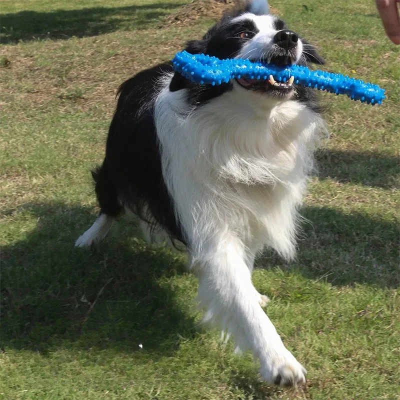 Juguete para masticar hueso de perro TPR duradero, juguete para masticar hueso de perro, juguete interactivo chirriante resistente para masticar agresivo, 1 ud.