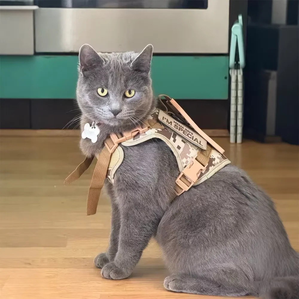 Arnés táctico para gatos y perros - conjunto de correa ajustable - imagen 5