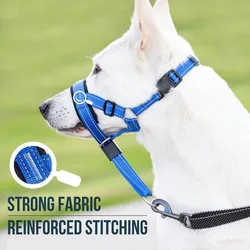 Kit para perros: bozal, collar anti-ladridos y correa reflectante