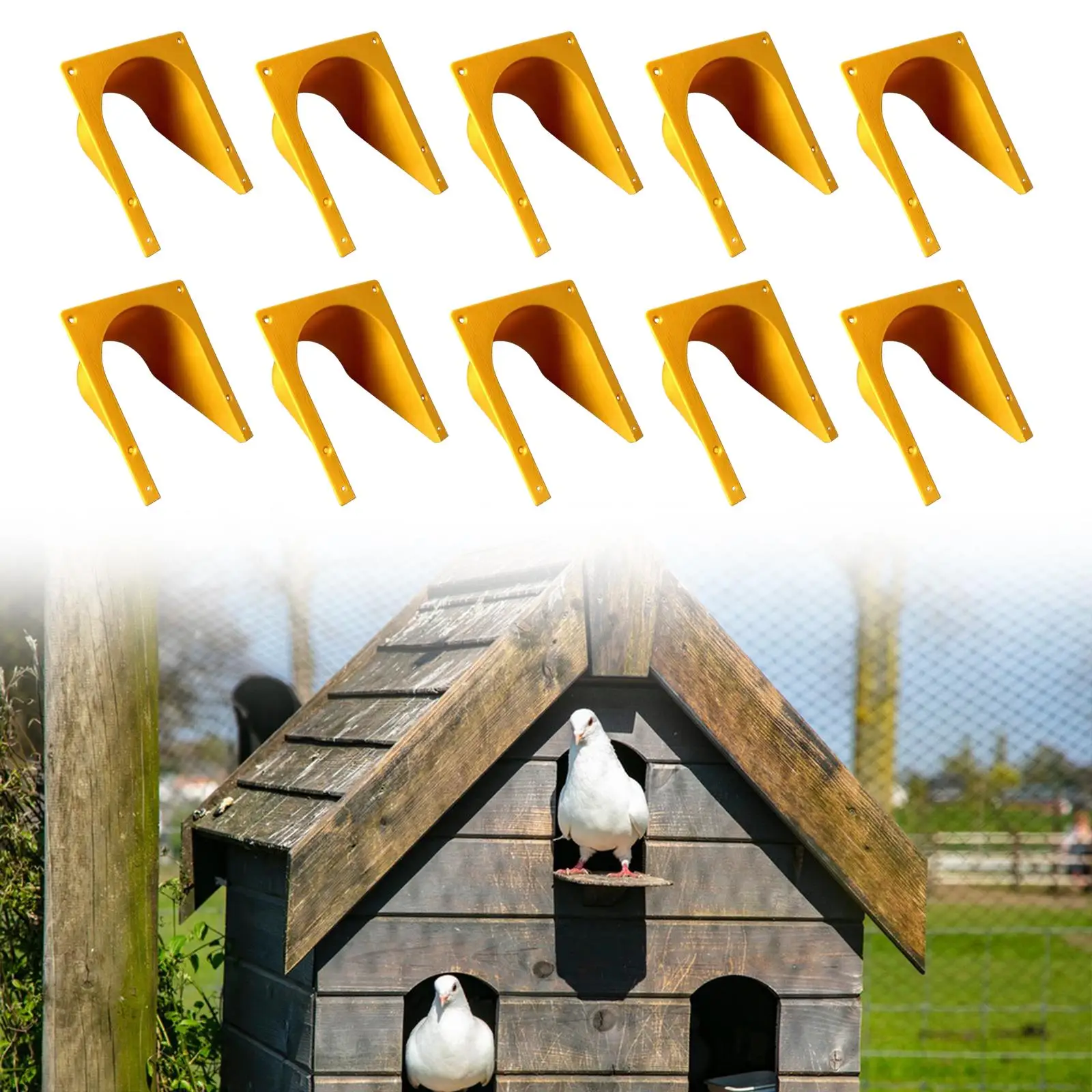 10Pcs Homing Pigeon House Door, Pigeon Equipment, Only in but Not Out Rounded Corner Homing Accessories ,