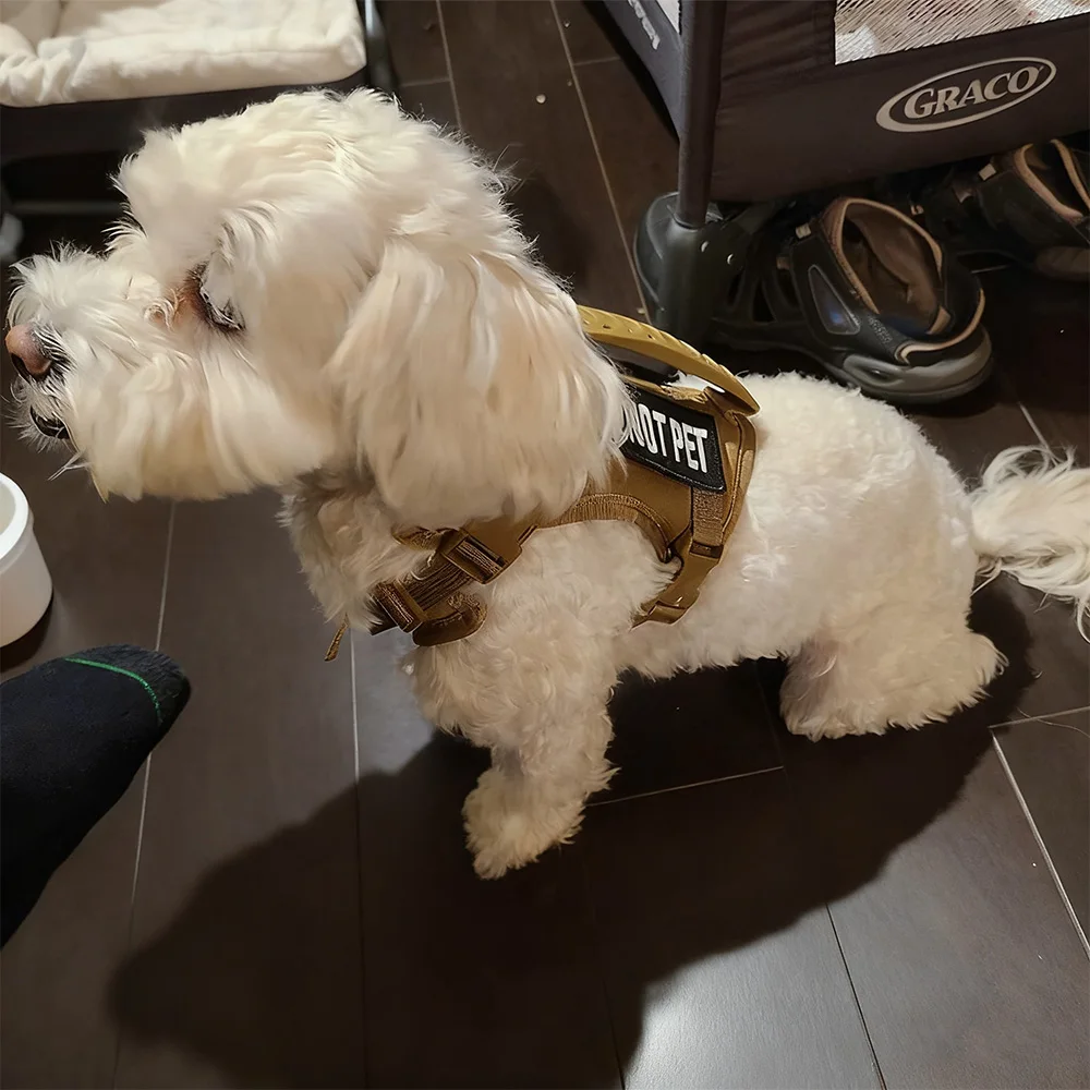 Arnés táctico de estilo militar con correa para gatos y perros pequeños, chaleco ajustable para mascotas para paseos al aire libre, entrenamiento y aventuras - imagen 5