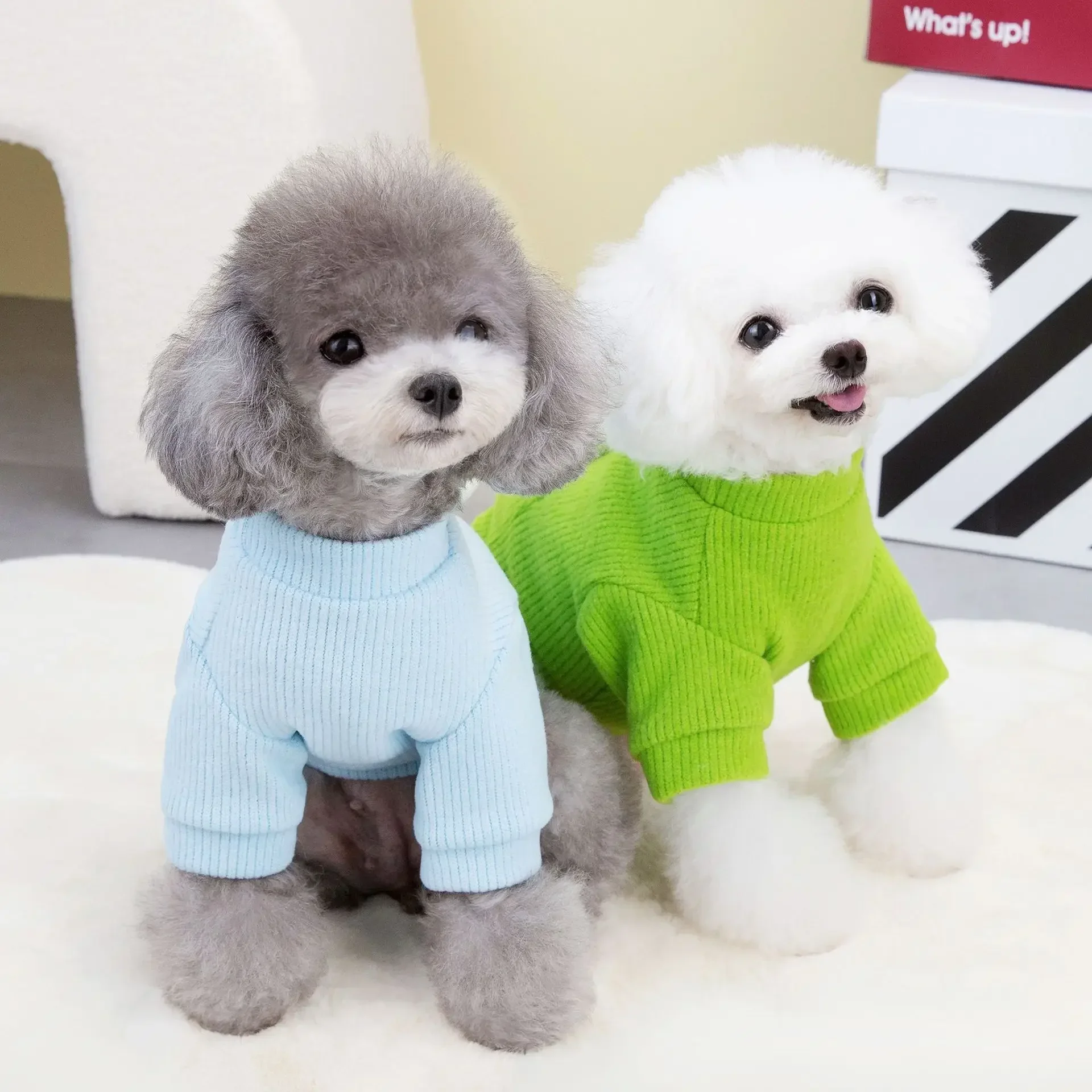 Ropa de otoño e invierno, ropa para cachorros, suéter para mascotas, perro, oso de peluche, Sudadera con capucha, Chaqueta de punto para gato, suéter grueso de oso de peluche - imagen 4