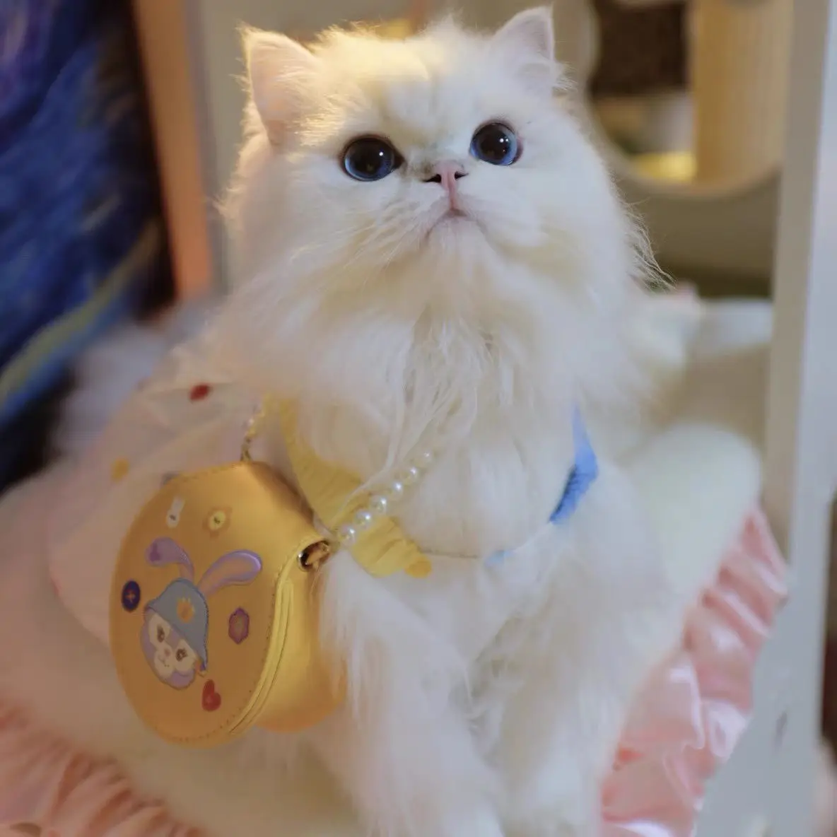 Falda de burbuja geométrica con tirantes para perro, Falda corta de princesa, Teddy Yorkshire Schnauzer, cachorro maltés, ropa para gato, bonito vestido para mascotas - imagen 5