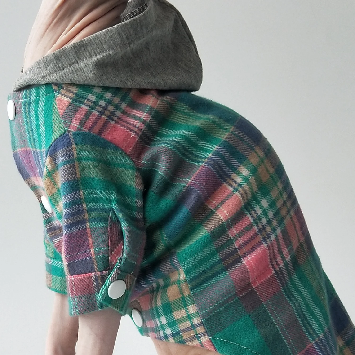 Abrigo de moda para gato sin pelo en primavera Camisa a cuadros de manga larga con capucha azul y botones para Esfinge en verano Traje suave fácil de poner para gatitos - imagen 5