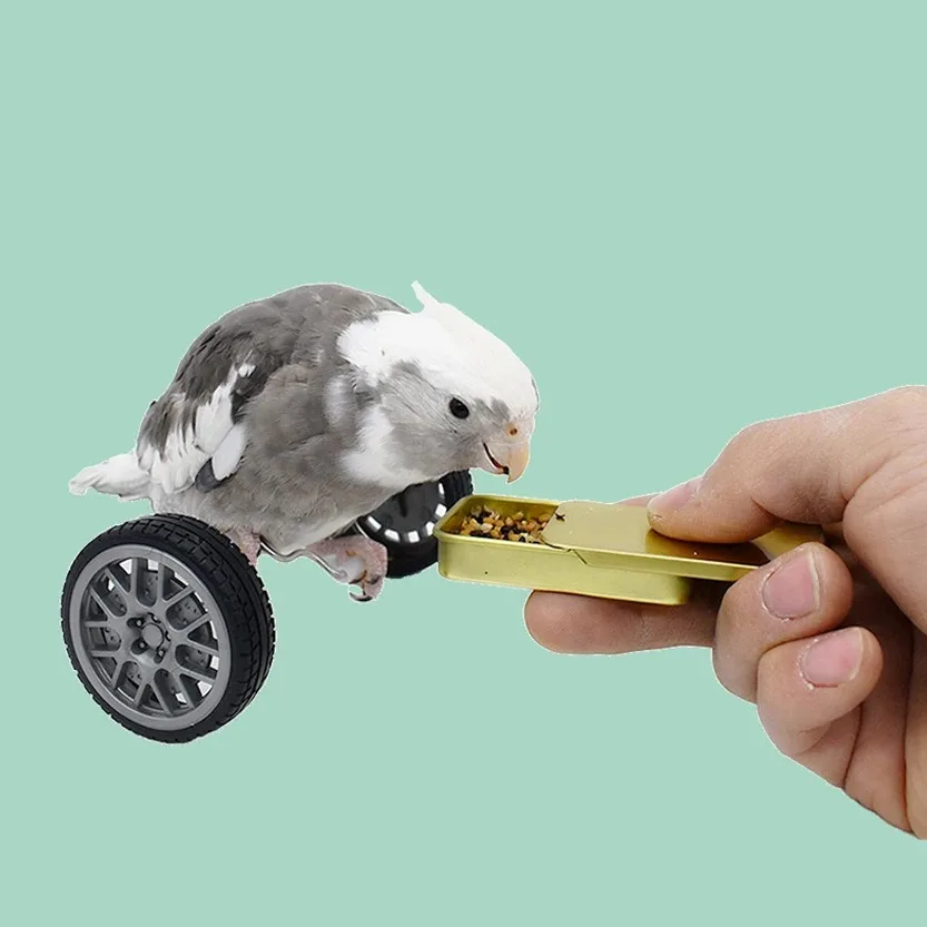 Juguete de equilibrio para loros – Interactivo y educativo - imagen 3