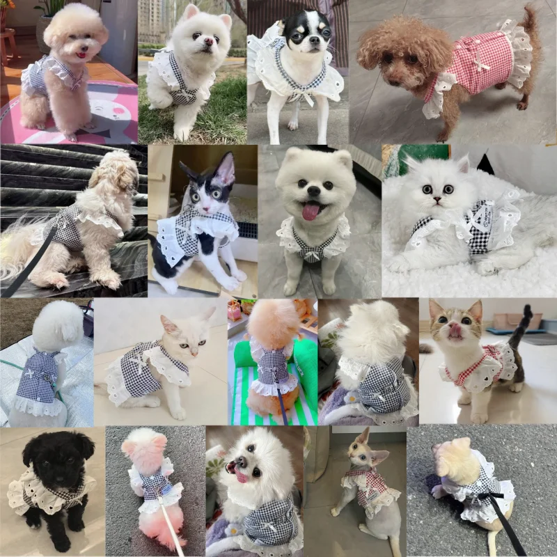 Vestido con tirantes para perros, ropa a la moda para perros pequeños, falda bonita a cuadros para cachorros, lazo de encaje, vestido de princesa para gatos, disfraces para mascotas Chihuahua - imagen 2