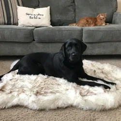 Alfombra suave de piel sintética para gatos y perros, cama cálida
