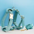 Harness leash40