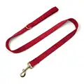 Leash-color 2