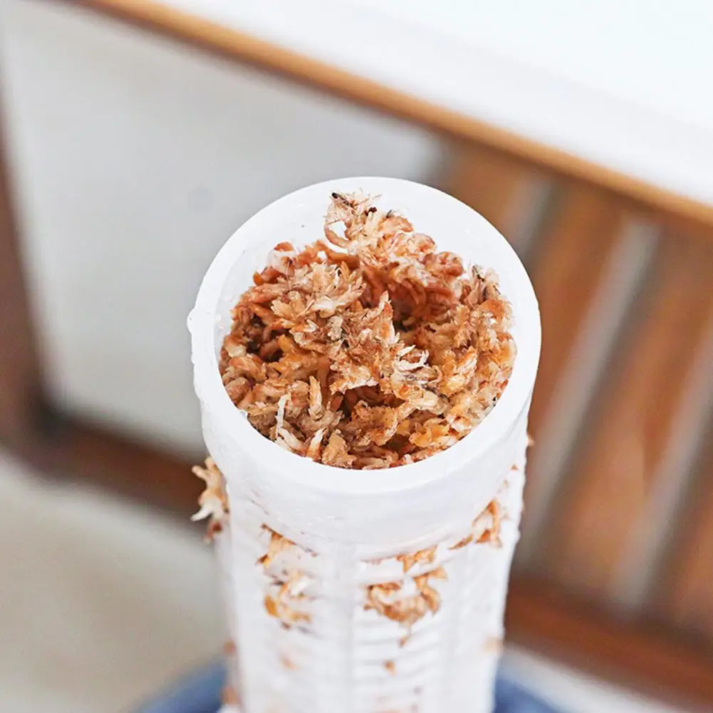 Buen marco de soporte para plantas, fácil de usar, instalación Simple, poste de musgo de larga duración, plantas en macetas, palo de soporte para escalada - imagen 2