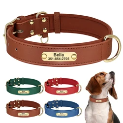 Collar Pitbull personalizado cuero suave placa grabada antipérdida