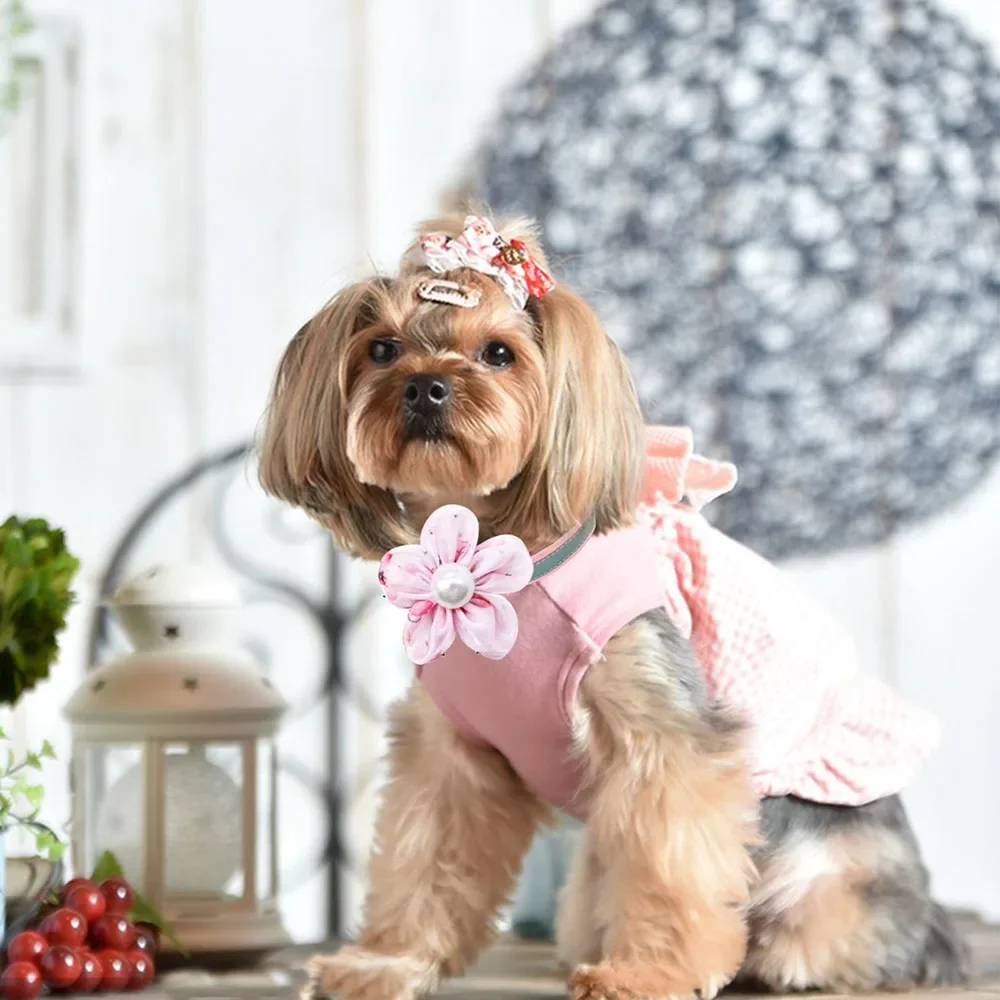 50 Uds. Pajaritas de encaje con perlas para perro, pajaritas de primavera extraíbles para perro pequeño y gato, accesorios para Collar, productos de aseo para perros a la moda - imagen 3