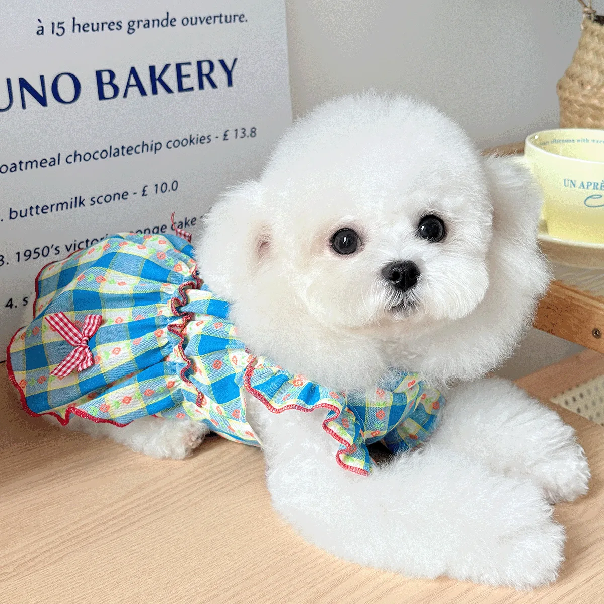 Chaleco princesa con mangas para perros Yorkshire Teddy y gatos - imagen 3
