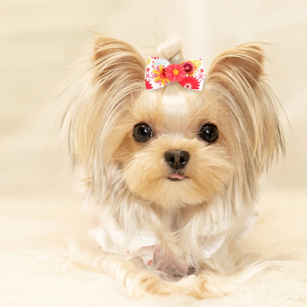 Lazos para el pelo de perro con bandas de goma, accesorios para el pelo de mascotas, para el cuidado de Halloween, para cachorros, gatitos y Chihuahua, lote de 10 unidades - imagen 2