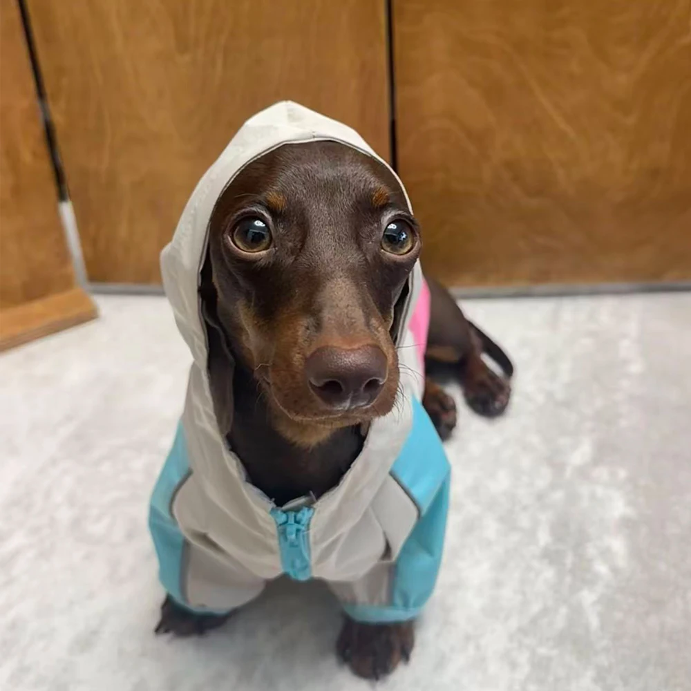 Chaqueta impermeable para perros Wiener, impermeable de 2 patas para perros tejón, chaqueta intercambiable transpirable para perros salchicha - imagen 4